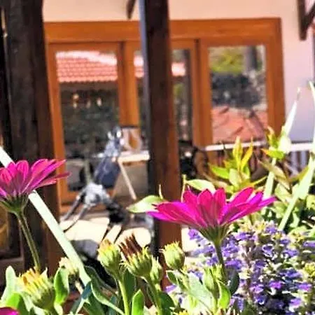 Ξενοδοχείο Ibri Boutique 4*
