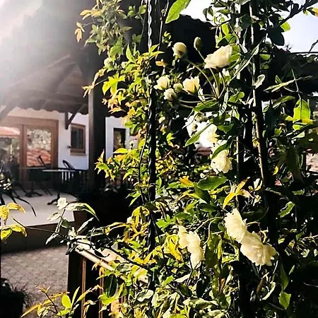 Ibri Boutique Hotel Selçuk