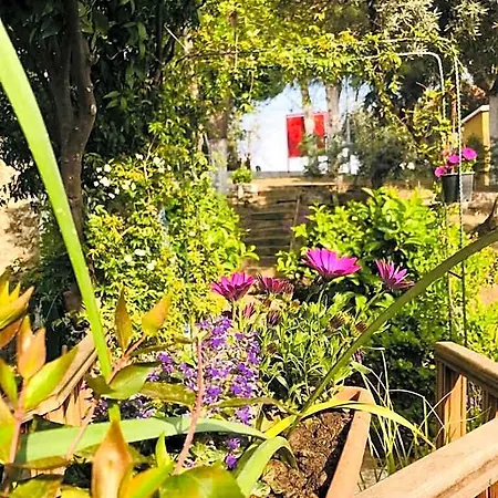 Ibri Boutique Hotel 4*